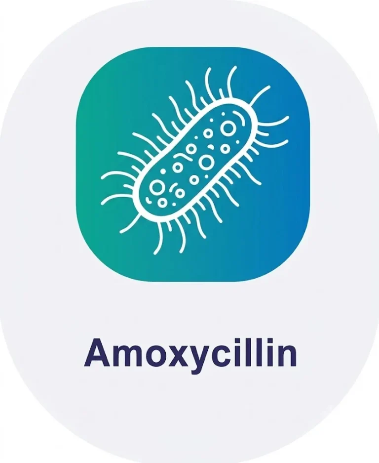 amoxicillin